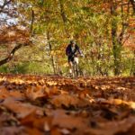 Athlete in fall