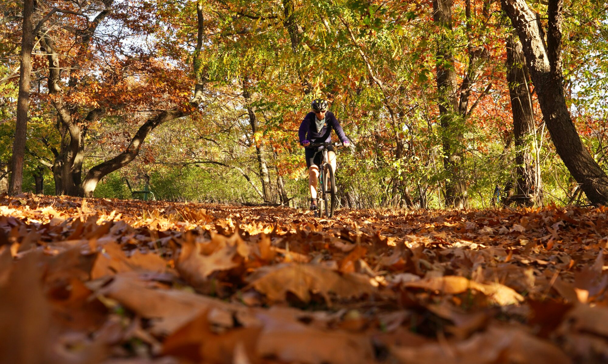 Athlete in fall