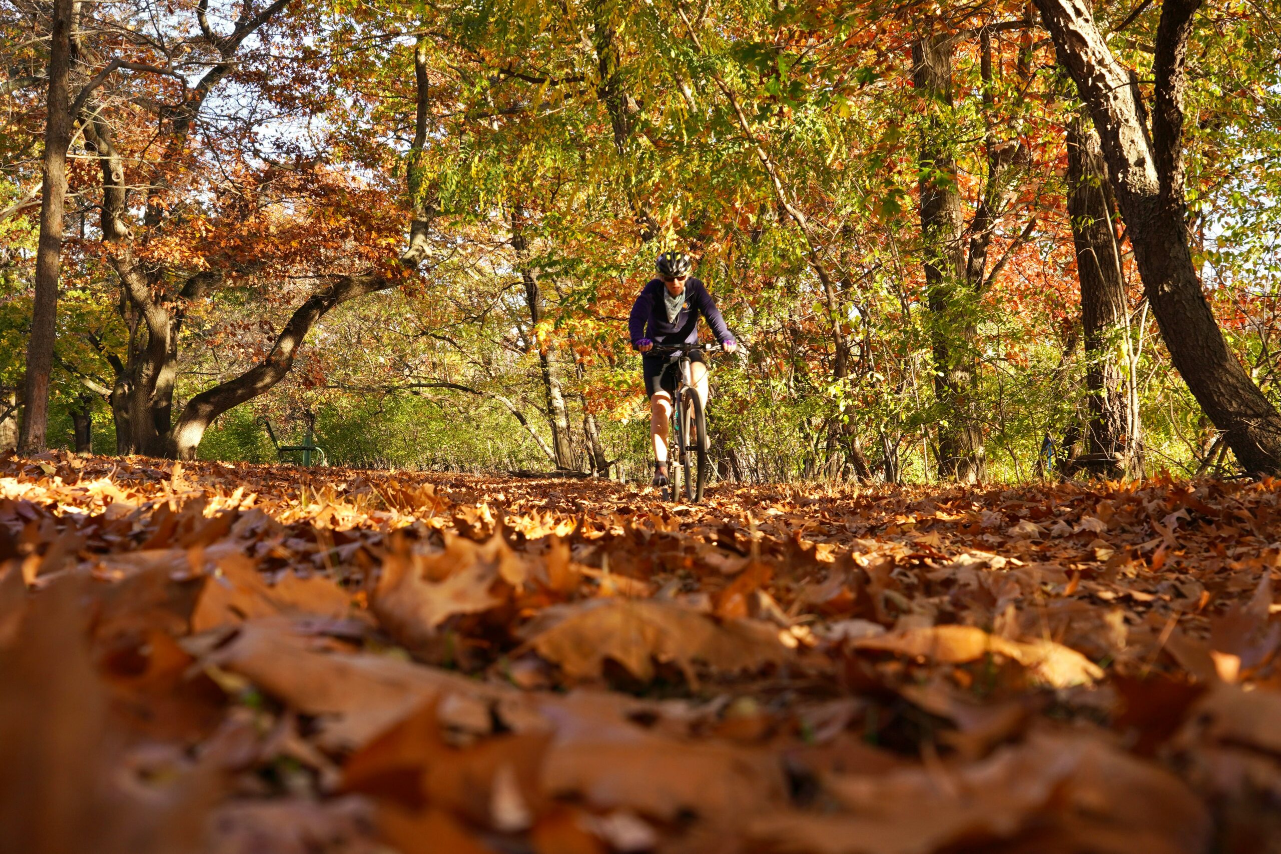 Athlete in fall
